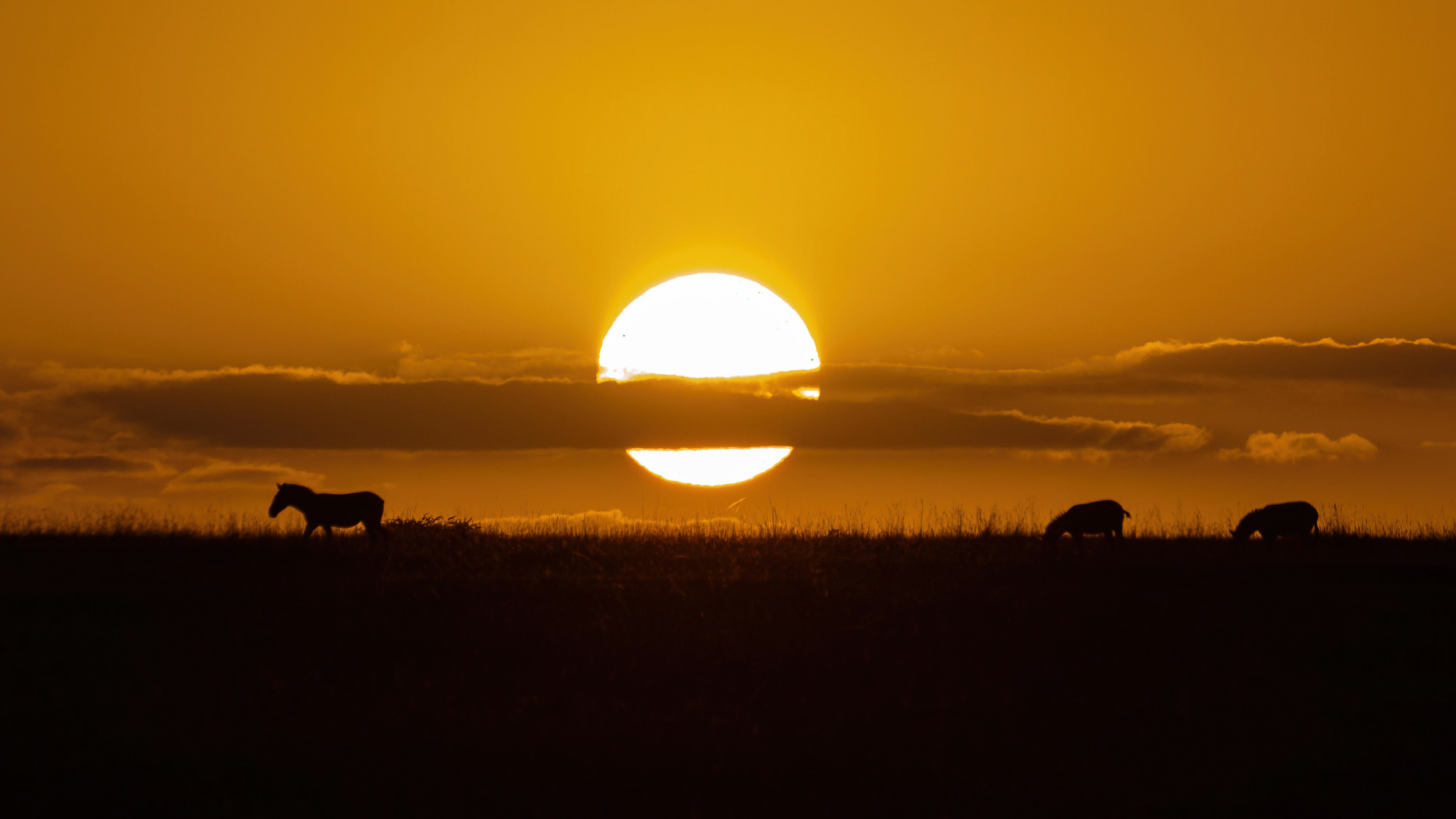 Lake Manyara National Park